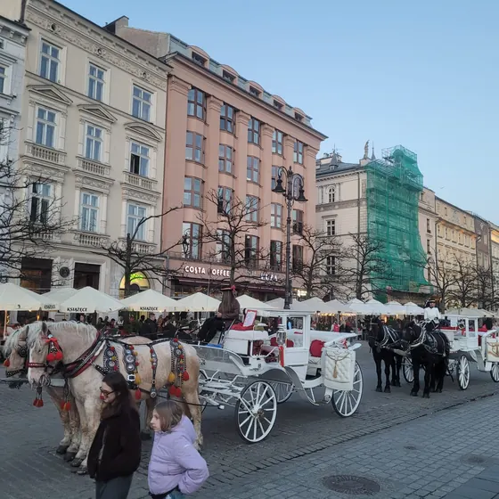 Kraków 12