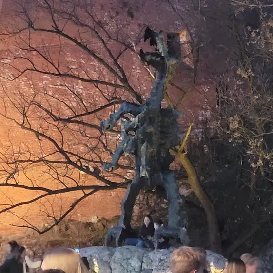 Kraków 8