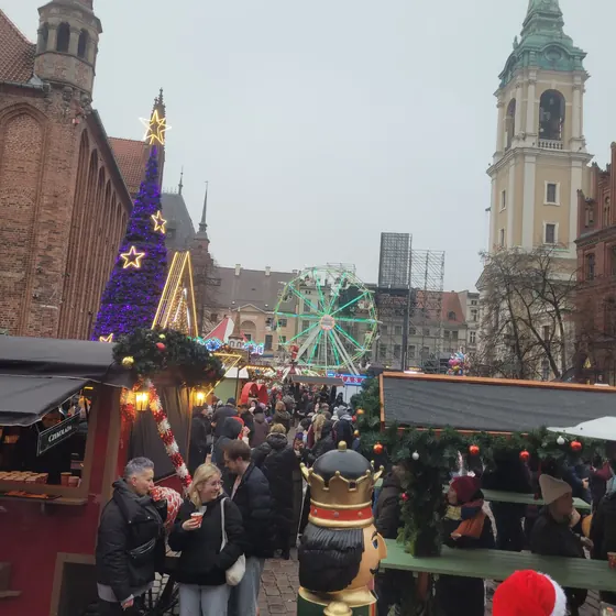 Toruń 4
